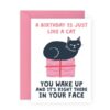 A Birthday is Just Like a Cat Card	CF591