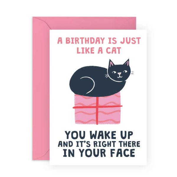A Birthday is Just Like a Cat Card	CF591