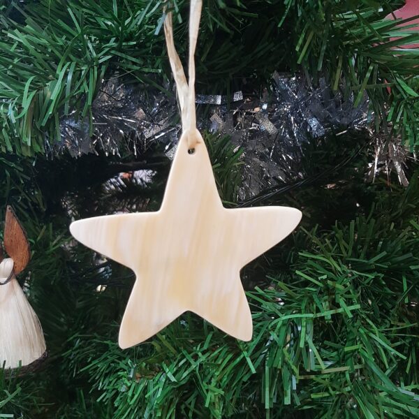 Xmas Ornaments Star