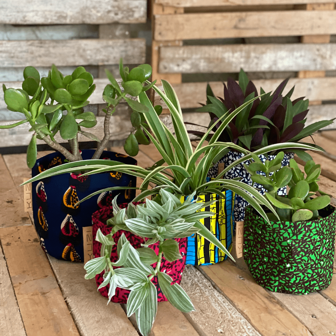 Kitenge Planter
