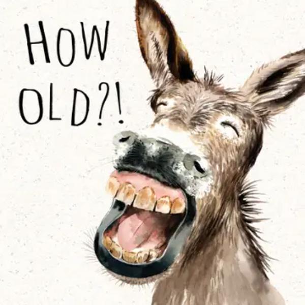 Donkey How Old SH001