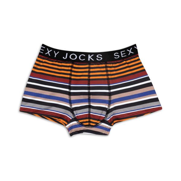 Mixed Stripe Jocks - Image 3