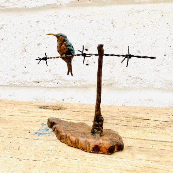 Sunbird on Branch - LL24