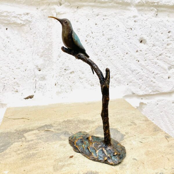 Kingfisher on Branch - LL21