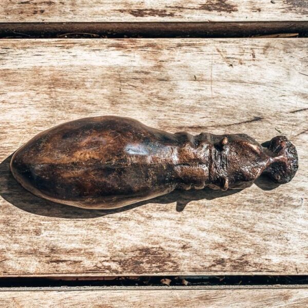 Wallowing Hippo - LL30