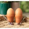 Plant Pot Egg Cup Set with Shovel Spoons