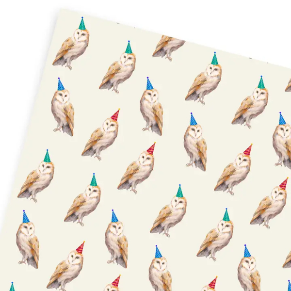 Birthday Owl Gift Wrap