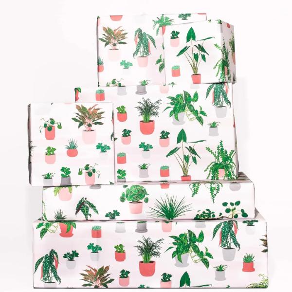 SMALL HOUSE PLANTS GW49