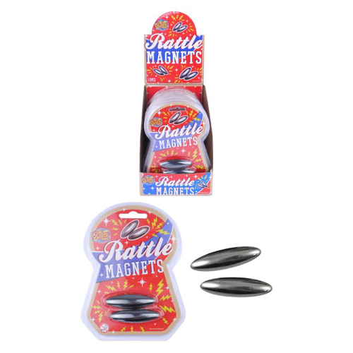 Rattle Snake Magnets