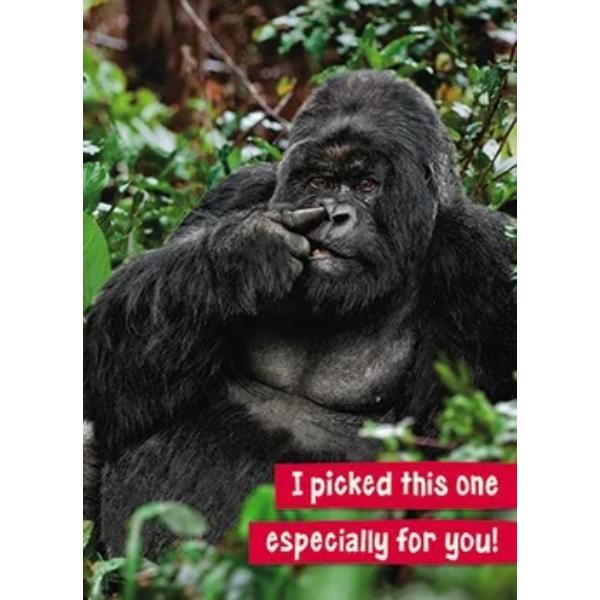 I Picked This OneAVEDH0003