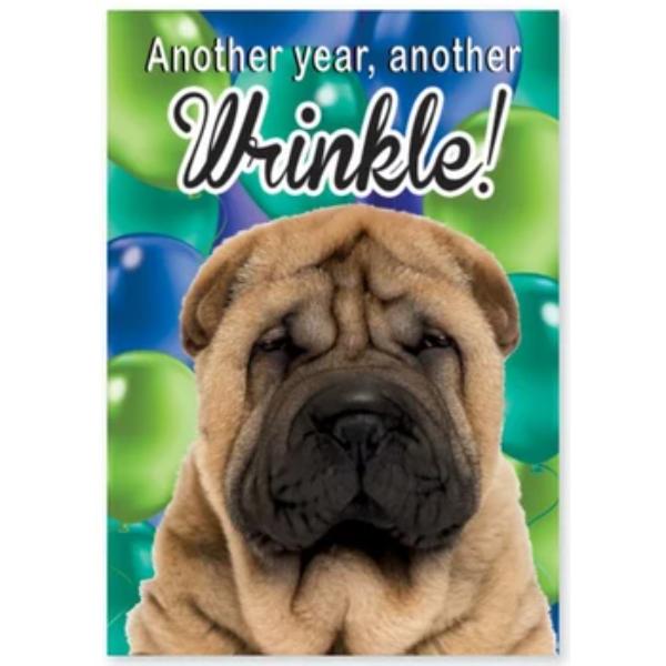 Another WrinkleSE30290-9