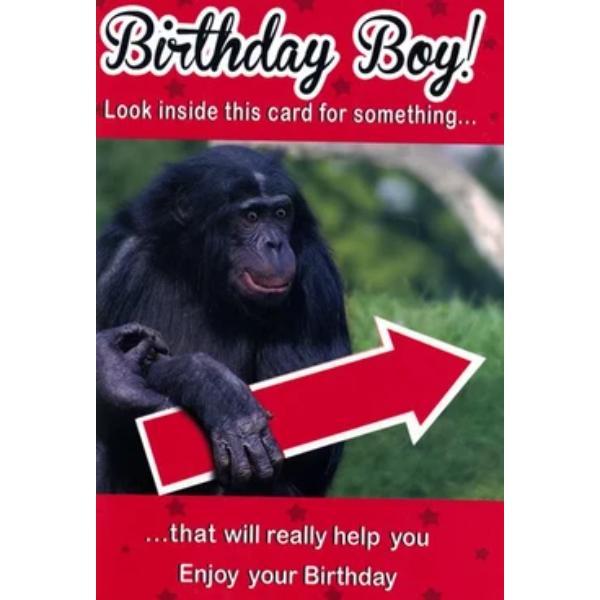 Birthday BoySE31198-10