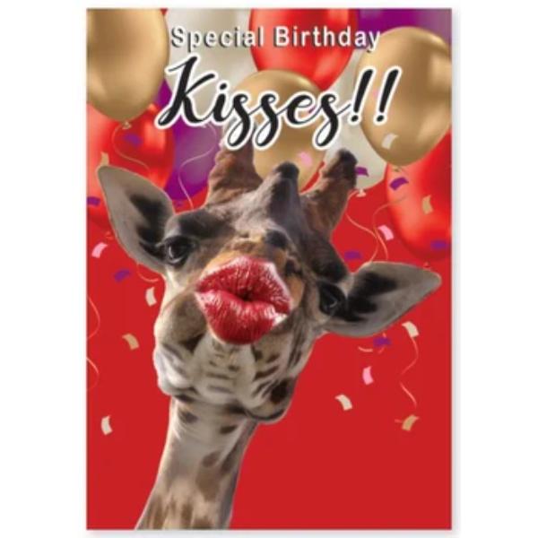 Birthday KissesSE31198-7