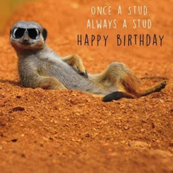 Once a StudDRHHI0003