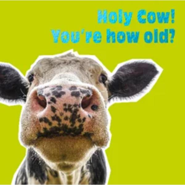 Holy CowLWP153