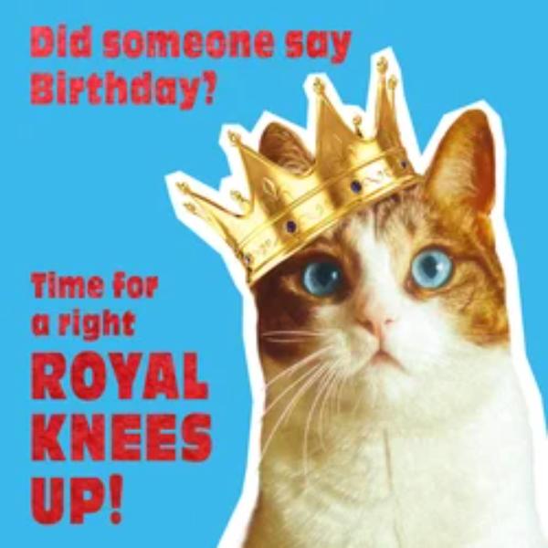 Royal Knees UpLWP159