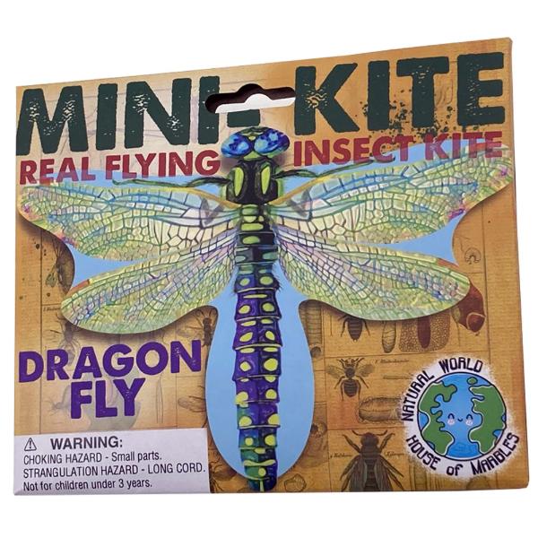 Mini Flying Insect Kites Assorted - Image 3