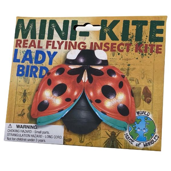 Mini Flying Insect Kites Assorted - Image 5