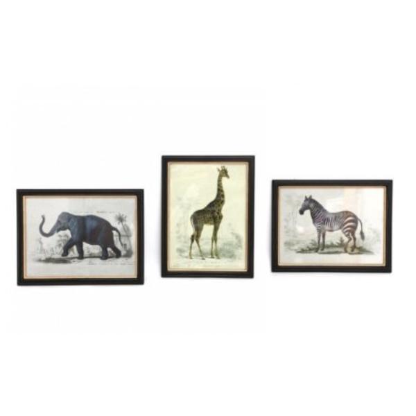 3/A Safari Animal Print Frames, 38cm