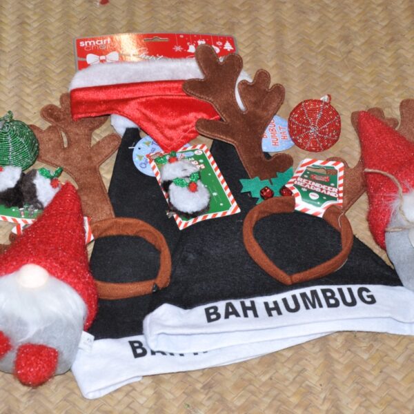 Christmas Hats & Clips