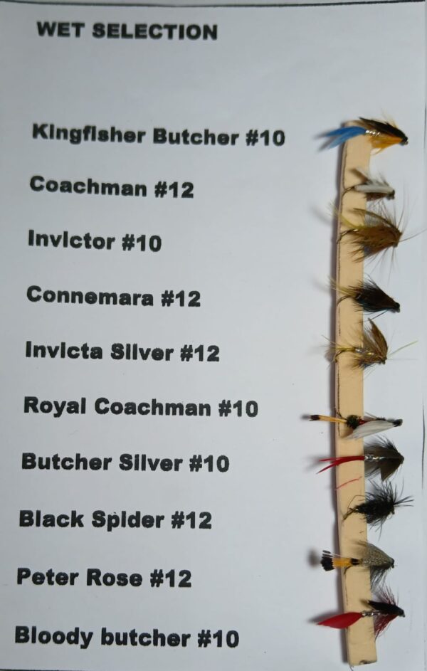 Fishing Flies - Wet Selections