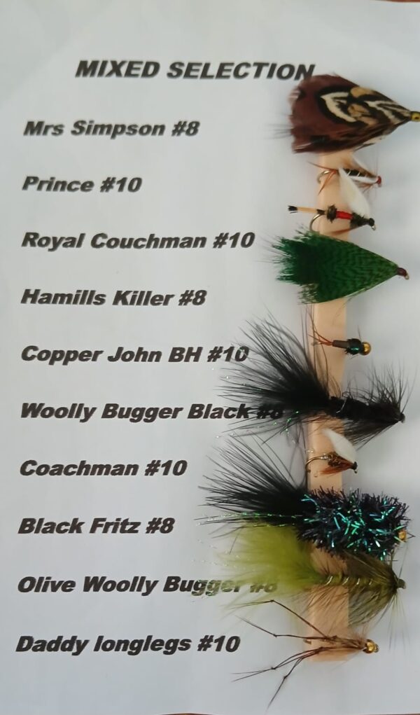 Fishing Flies - Mixed Selections