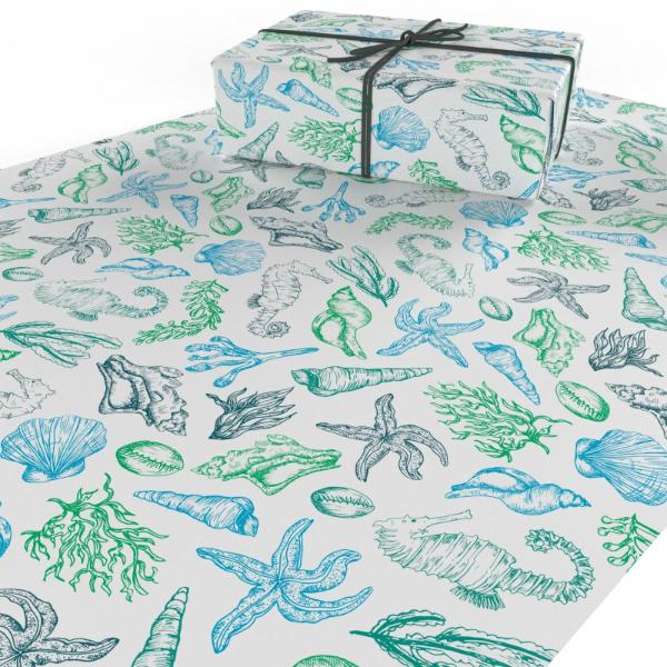 Beach Shells Wrapping PaperRPBS