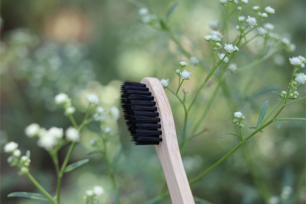 Adult Round Bamboo Toothbrush