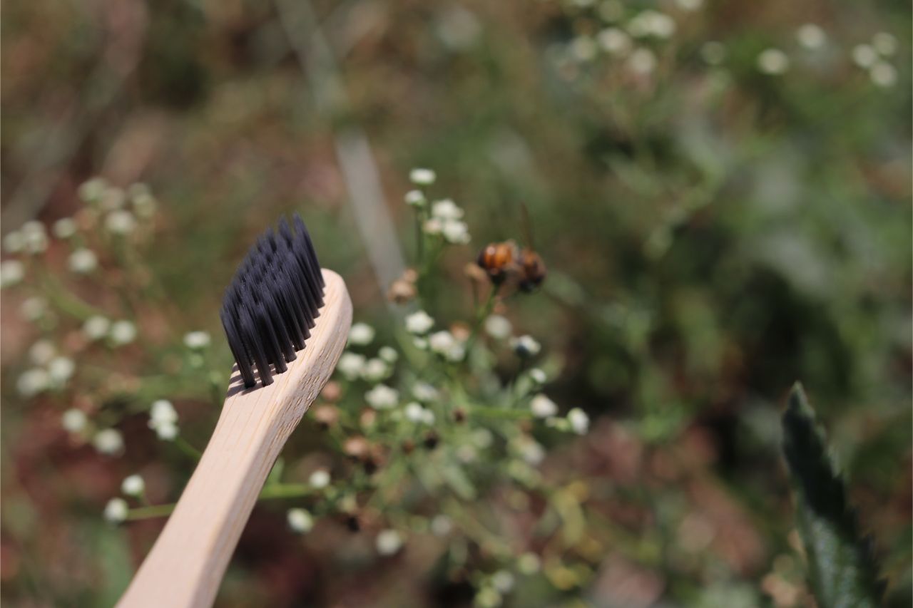 Adult Round Bamboo Toothbrush - Image 3