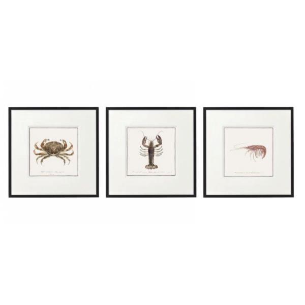 Crustacean Wall Art, 3a, 40cm