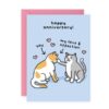 CAT LOVE ANNIVERSARY