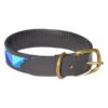 Simba Dog Collar - Sky/ SDC-S