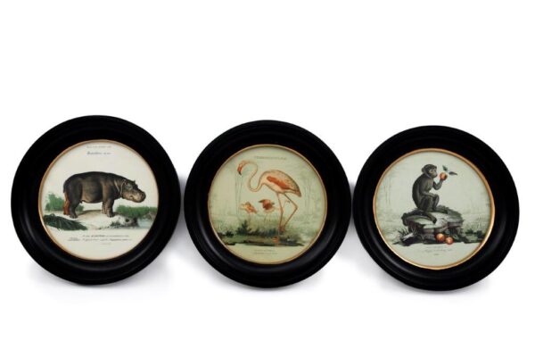 Vintage Safari Framed Art 27Cm