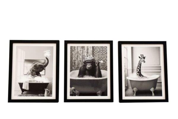 Animal Bath Frame Canvas 20X25Cm