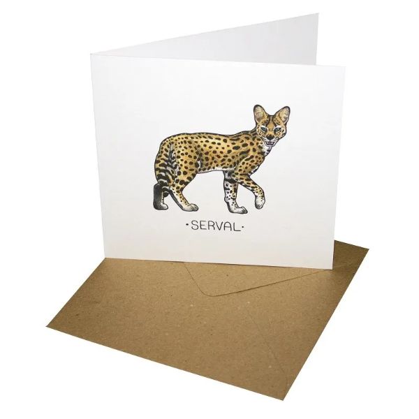Serval Birthday Greeting Card 	TACS:01/06.W
