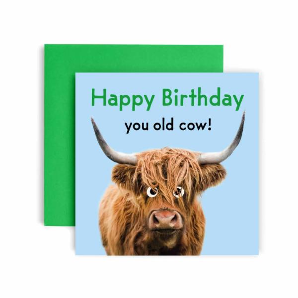 You Old Cow - Happy Birthday Card