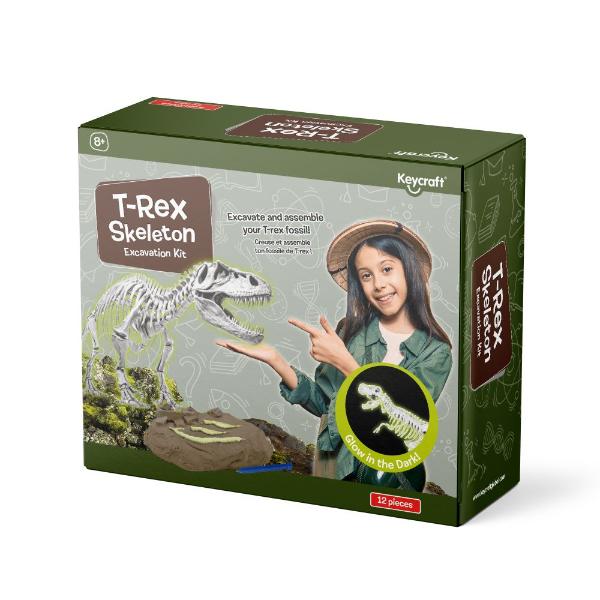 Glow in the Dark T-Rex Skeleton Excavation Kit