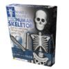 Human Skeleton Make & Deco Kit