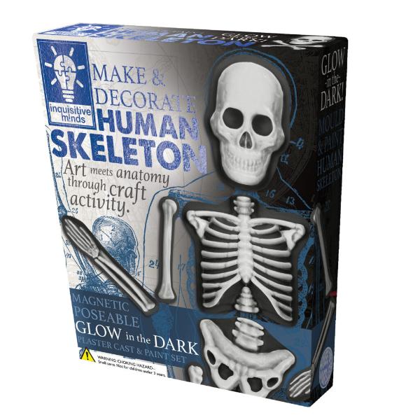 Human Skeleton Make & Deco Kit