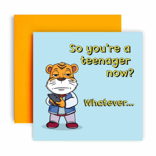 Funny Teenage Boy Birthday Card