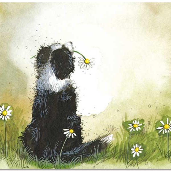 Collie And Flowers Placemat MT46