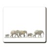 Elephant Parade - Placemat PL014