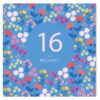 16 Birthday Card ISA011