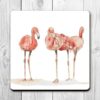 Flamingo 4 - Coaster COA021