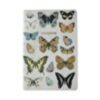 Vintage Butterflies A5 Notebook NOTE083