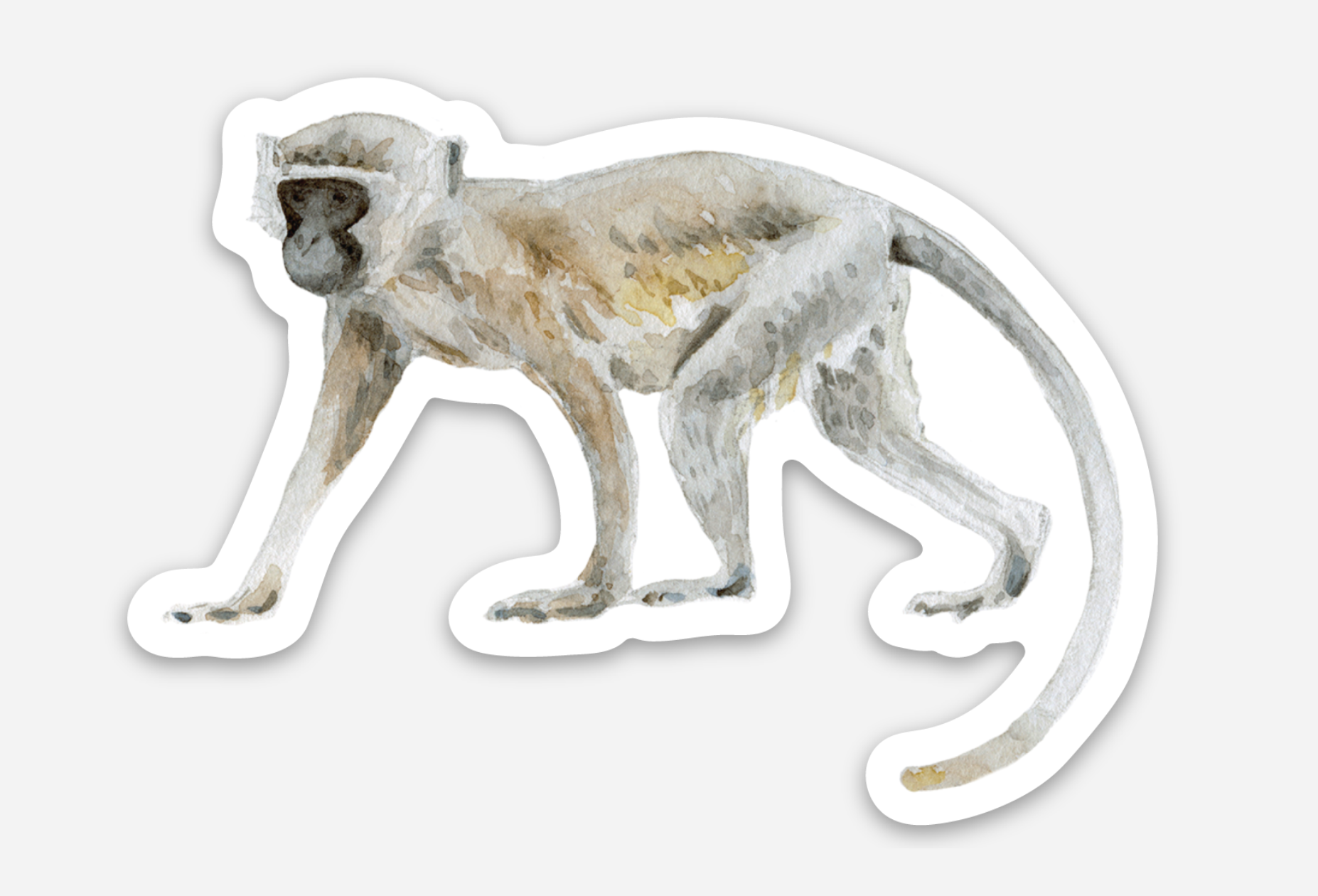 Vervet - Sticker 75mm ST0016