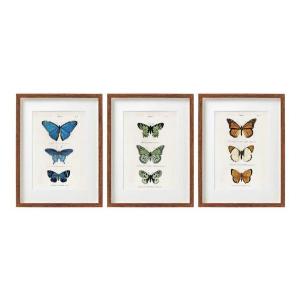 Butterfly Wall Art 30X40 WP2292