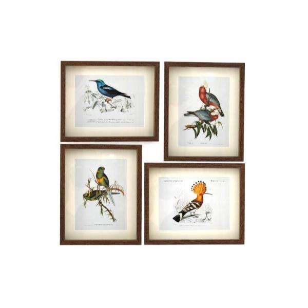 Framed Birds Print 30X40 WP2379