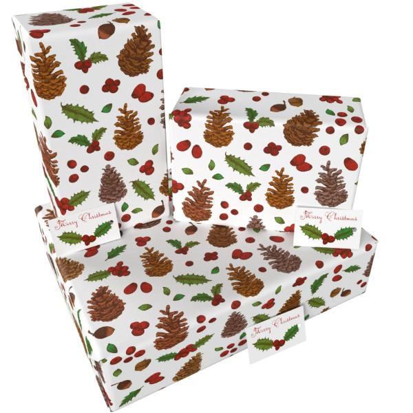 Christmas White Pine Cones by Rosie Parkinson