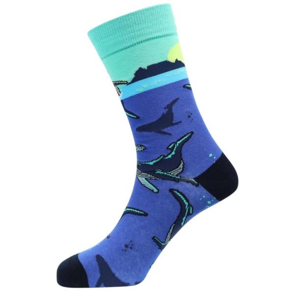 Whale Watching S11A2054